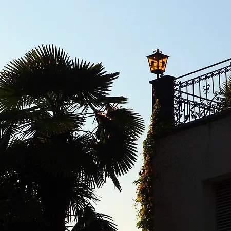 Ascovilla