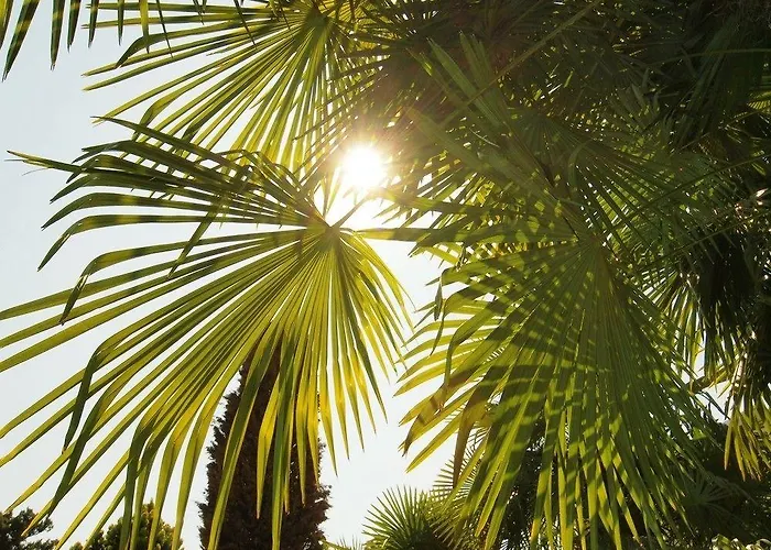 Hotel Ascovilla Ascona