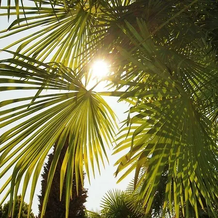 Hotel Ascovilla Ascona